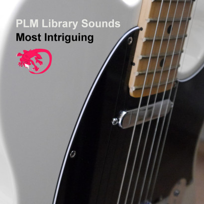 PLM Library Sounds: Most Intriguing (cover art)